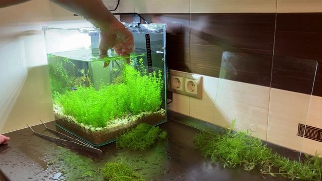 Уход и забота смотреть онлайн