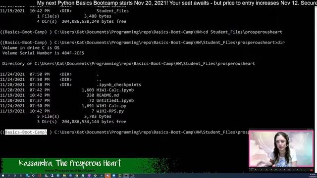 How To Run Python File From Command Line