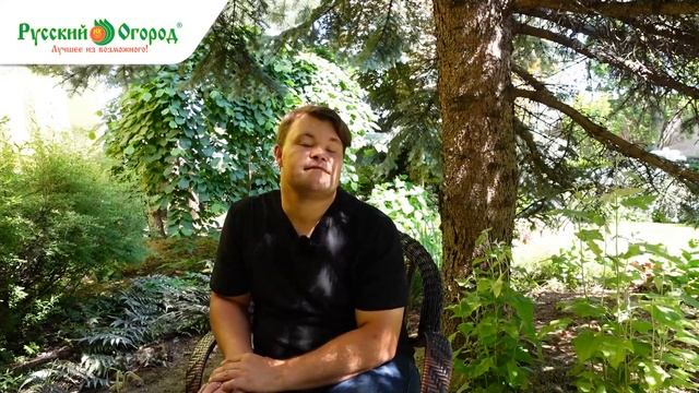 Самые лучшие растения для тенистого сада. Ландшафтный дизайн своими руками. смотреть онлайн