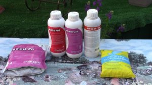 Томаты и перцы. Вершинная гниль. Лучше предотвратить, чем лечить!!!!