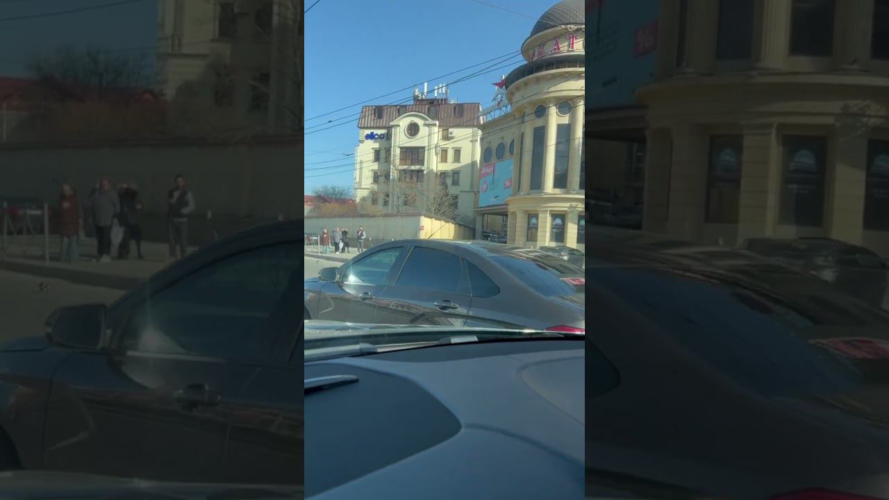 Сбили лошадь смотреть онлайн