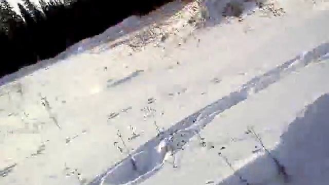 TRIAL lite. Ёжик на ниве. 1 смотреть онлайн