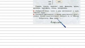 Упражнение 161 - Русский язык 3 класс (Канакина, Горецкий) Часть 2