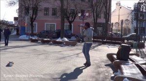 Эквадорцы мороза не боятся! Поет на улице Бреста!