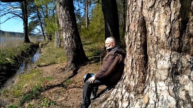 Весна 2017 года, г.Киев, массив Новобеличи смотреть онлайн