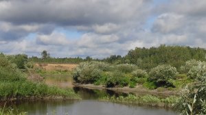 Рыбалка на реке Омь Новосибирская область. Разведываем для себя новые места