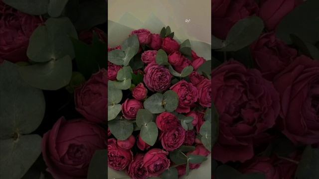 Туган як минусовка