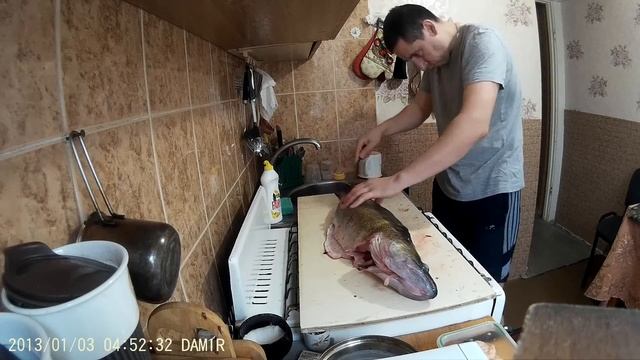 1й этап, разделка судака 5.1кг смотреть онлайн