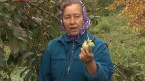 "В ритме жизни" - Садовые работы в сентябре_Часть 1