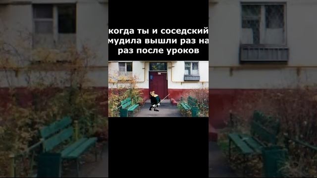 Докторы Ливси на стреле после школы.mp4