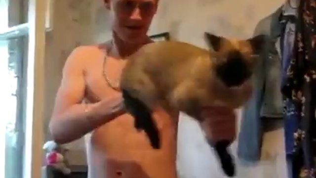 кот-пулемёт смотреть онлайн