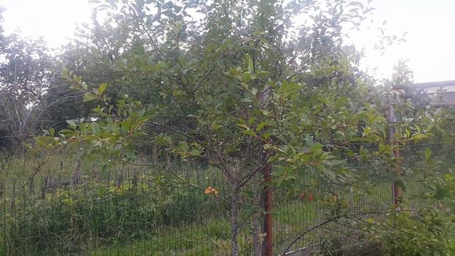 Хозяйство после отпуска. Изменения. смотреть онлайн