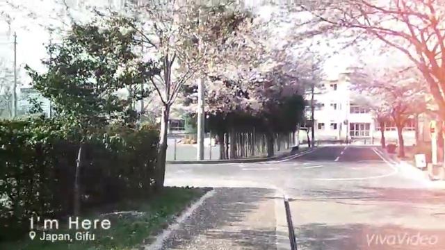 Моя любовь Япония 💜 смотреть онлайн