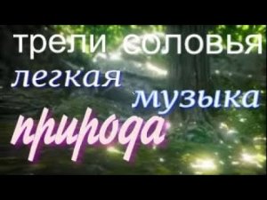 #музыка для сна #природа #трели соловья в лесу