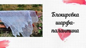 Блокировка шарфа-палантина.