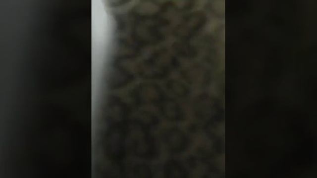 Клюв оригами смотреть онлайн