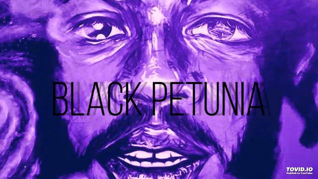 Capital Steez - Black Petunia [ chopped & screwed ] смотреть онлайн
