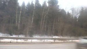 Лобня, автобус 23, участок Пучки _ Школа - Поворот (Красная Поляна)