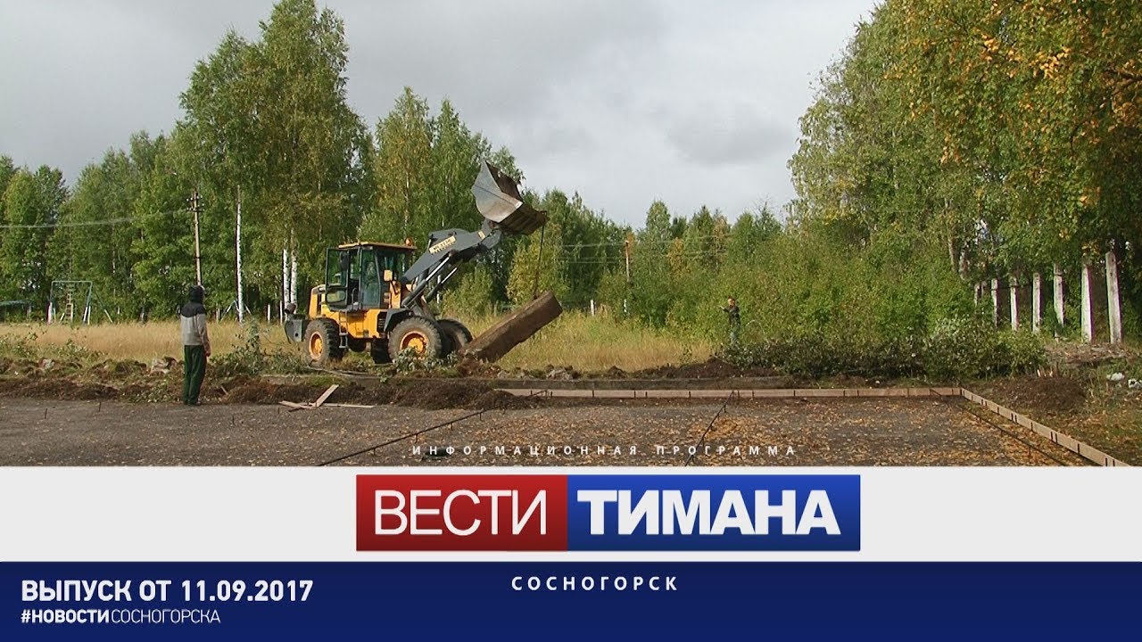 Тимана сосногорск