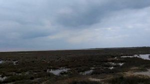 Красноперекопск. Перекопский залив.