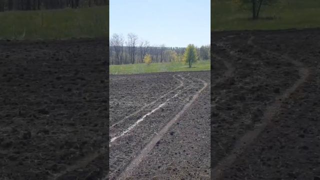 Органика, Биота и переход на No-Till? смотреть онлайн
