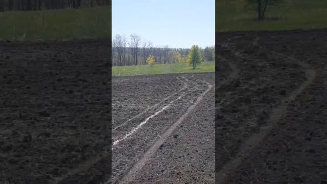 Органика, Биота и переход на No-Till?