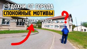 Спокойные, зеленые мотивы \ Музыка от стресса и тревоге \ Отдохни от города \ Завидово