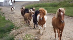 Острова в океане