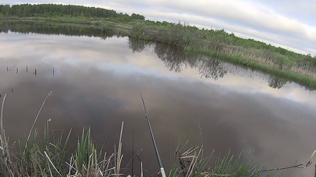 Ловля карася на червя. смотреть онлайн