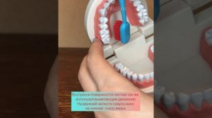 Чистка зубов щеткой средней жесткости. "Стандартный метод" чистки зубов.