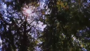 Фильм к 200-летию со дня рождения драматурга Александра Николаевича Островского