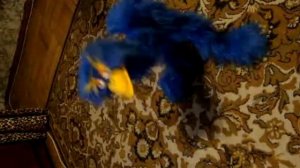 Страус-марионетка новый !