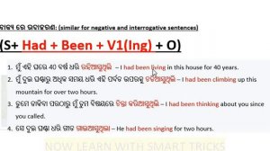 Tense in Odia Past Perfect Progressive / Continuous ( 10th / Matric English Grammar in Odia )