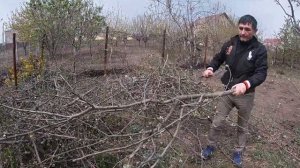 Как мачете рубит ветки