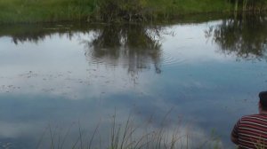 Ловля щуки на спиннинг в трудных условиях  Pike fishing on spinning in difficult circumstances