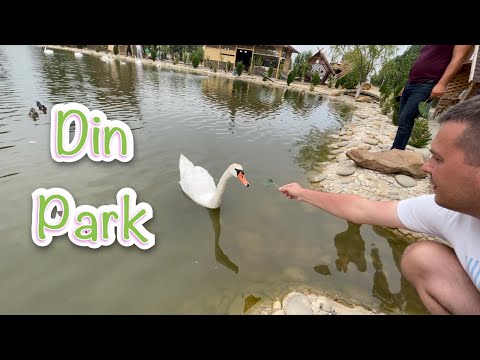 ГДЕ ОТДОХНУТЬ С СЕМЬЕЙ В МАХАЧКАЛЕ. БЕСЕДКИ У ВОДОЁМА. ЗООПАРК DinPark