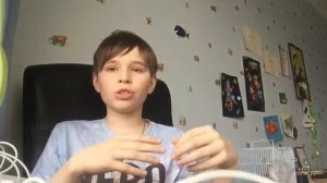 Что нужно для перевозки хомяка в поезде