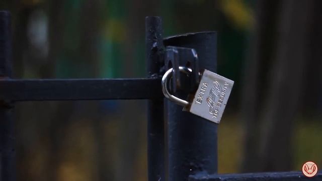 Ищу курсы по пчеловождению.  Где отучиться на пчеловода? Какие знания хочу получить. Цена обучения