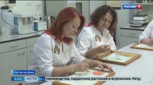 Ростовский «Центр оценки качества зерна» отмечает вековой юбилей