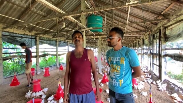 Poultry Farm খুলে 80 দিনে লাখপতি | Poultry Farm Business Plan 2023 | Broiler Farm | Murgi Khamar
