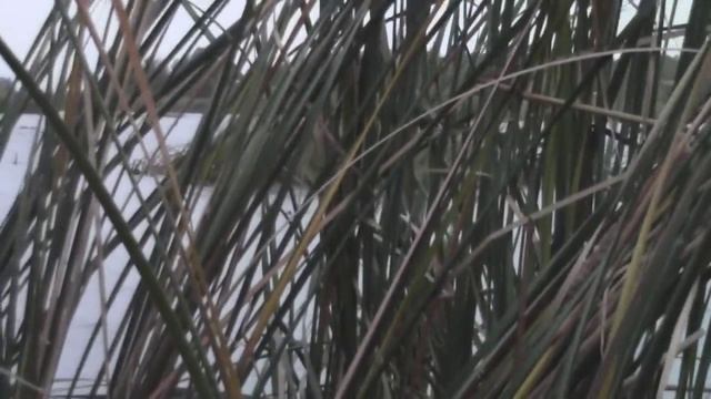 Лодка-скрадок HydroPod - охота смотреть онлайн