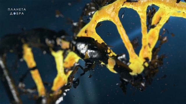 ВЛИЯНИЕ МАТА НА ЧЕЛОВЕКА! Как отказ от сквернословия изменит вашу жизнь? Вы этого точно не знали смотреть онлайн