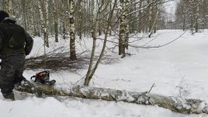 Обзор насадка Кородер на бензопилу Stihl MS 180 НК-100