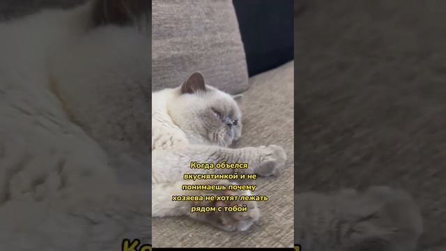 Недопонимание