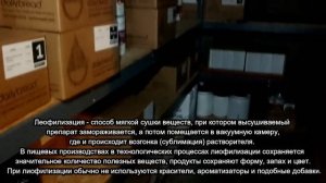 Жизнь в США. Быт в американской глубинке.