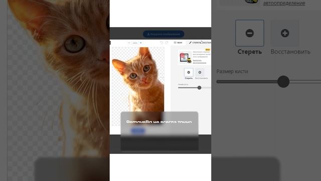 Нейросети RemoveBg и Retousher! Как их использовать?