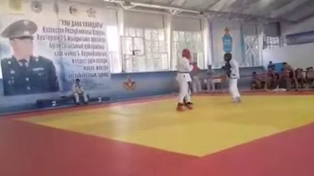 АРБ Республиканский Турнир 8-9 июля 2017 г.