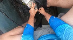 ЩЕРБАНИ ... Новая снасть на толстолоба со дна