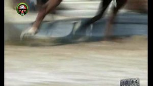 Корейские боевые искусства, какие стили и искусства использовались в Южной Корее