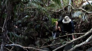 Как мы нашли затерянный в джунглях город